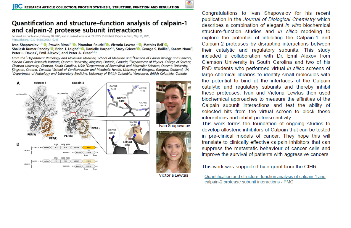 
                         Graduate Studies                                                    - 
                          Quantification and Structure&ndash;Function Analysis of Calpain-1 and Calpain-2 Protease Subunit Interactions Journal of Biological Chemistry                                                    